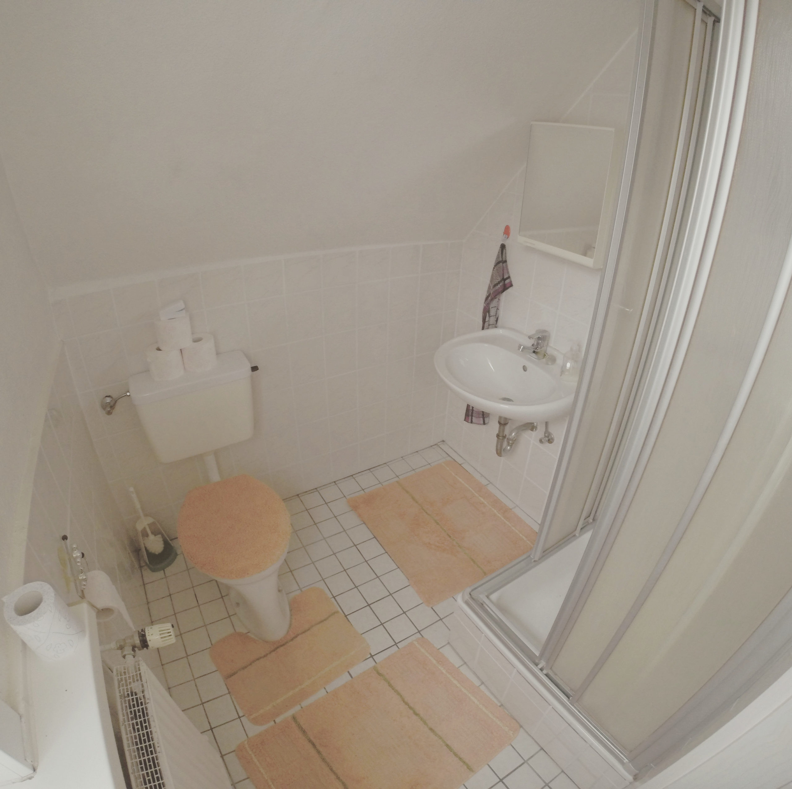 DCIM106GOPRO